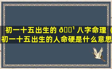 初一十五出生的 🌹 八字命理（初一十五出生的人命硬是什么意思）